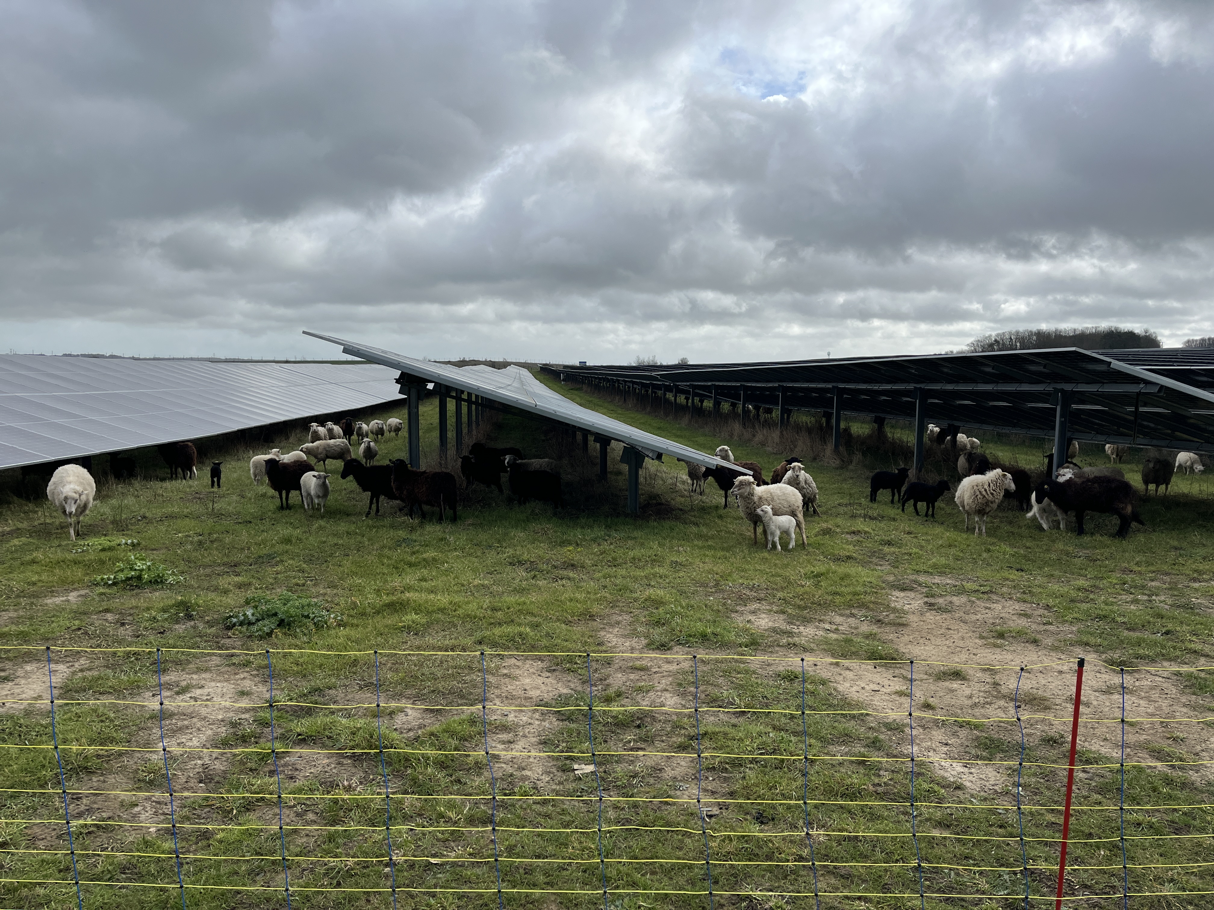 Acquisition d'un nouveau portefeuille éolien et solaire de 73,2 MW pour ERG !